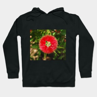 Bottlebrush Flower Hoodie